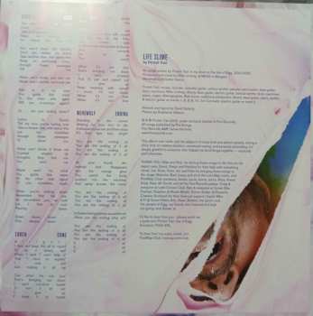 LP The Pictish Trail: Life Slime