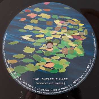 LP The Pineapple Thief: Someone Here Is Missing