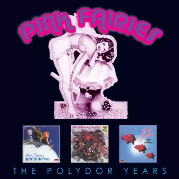 The Pink Fairies: The Polydor Years