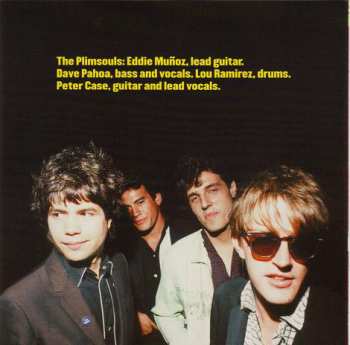 CD The Plimsouls: Live! Beg, Borrow & Steal