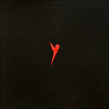 4LP/Doos The Pop Group: Y