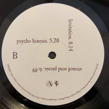 2LP The Primitive Painter: The Primitive Painter