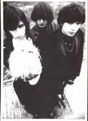 SP The Primitives: Thru The Flowers CLR | LTD