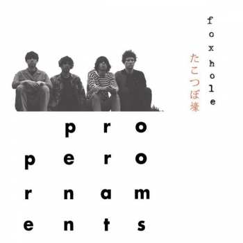 Album The Proper Ornaments: Foxhole