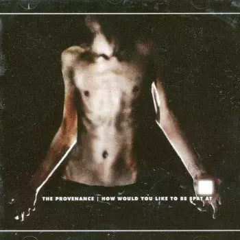 How Would You Like To Be Spat At