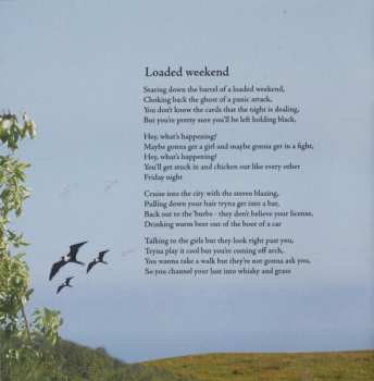 CD The Raylenes: Let The Wild Rumpus Start