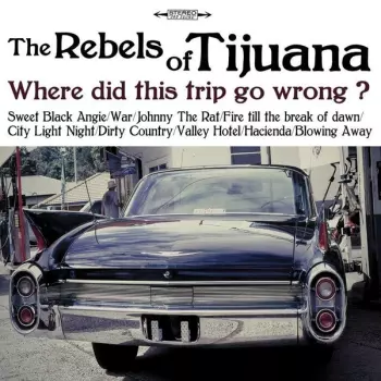 Where Did This Trip Go Wrong ?