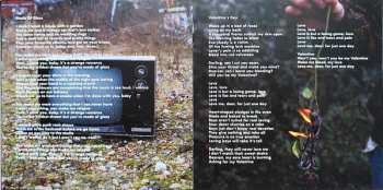 CD The Red Flags: Self-Centred And Delusional