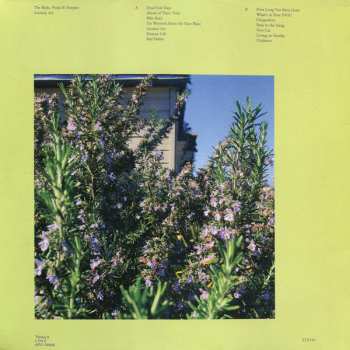 LP The Reds, Pinks And Purples: Anxiety Art LTD | CLR