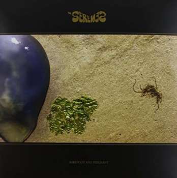 Album The Serenes: Barefoot And Pregnant