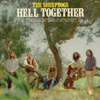 CD The Sheepdogs: Hell Together