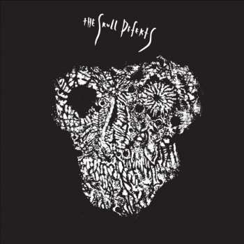 Album The Skull Defekts: The Skull Defekts