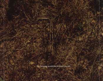 CD The Sleeping: The Big Deep