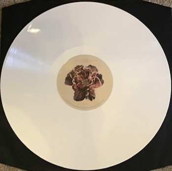 LP The Slow Show: Still Life CLR