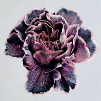 LP The Slow Show: Still Life CLR