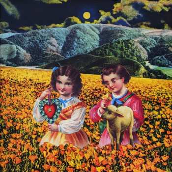 4LP/Doos The Smashing Pumpkins: Mellon Collie And The Infinite Sadness LTD