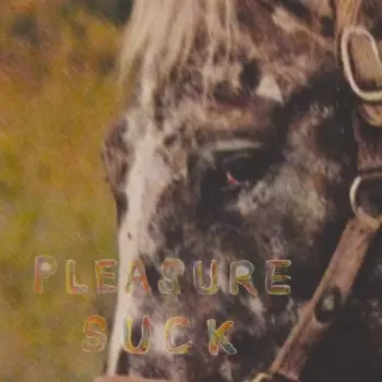 The Spirit Of The Beehive: Pleasure Suck