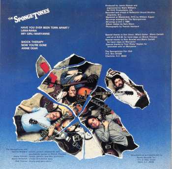 CD The Spongetones: Torn Apart