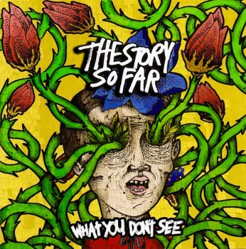 The Story So Far: What You Don't See