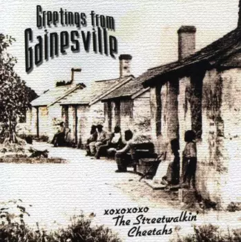 The Streetwalkin' Cheetahs: Greetings From Gainsvil