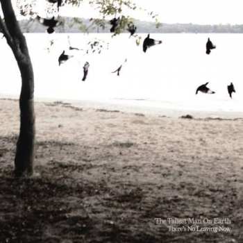 Album The Tallest Man on Earth: There's No Leaving Now