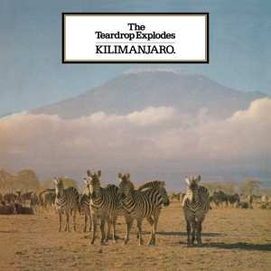LP The Teardrop Explodes: Kilimanjaro