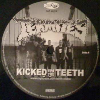 LP The Termites: Kicked In The Teeth