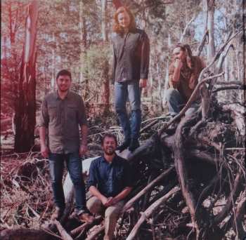LP The Teskey Brothers: Half Mile Harvest