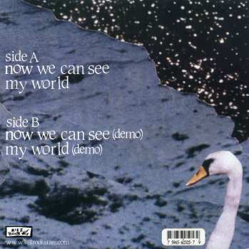 SP The Thermals: Now We Can See