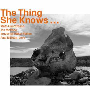 Album Joe McPhee: She Knows...
