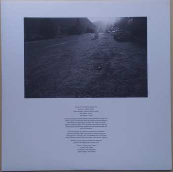 LP The Van Pelt: Imaginary Third