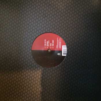 LP The Vanguard Project: Volume Five