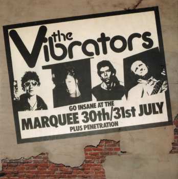 4CD/Doos The Vibrators: The Epic Years 1976-1978