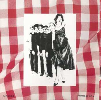 CD The Waitresses: The Best Of The Waitresses