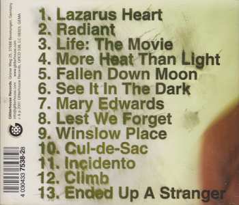 CD The Walkabouts: Ended Up A Stranger