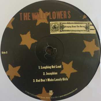 2LP The Wallflowers: Bringing Down The Horse