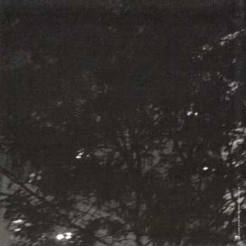 CD The Wallflowers: Collected: 1996-2005