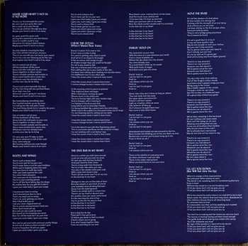 LP The Wallflowers: Exit Wounds