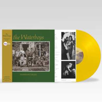 LP The Waterboys: Fisherman's Blues