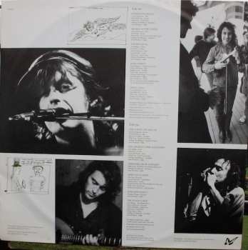 LP The Waterboys: Fisherman's Blues