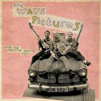 Album The Wave Pictures: Great Big Flamingo Burning Moon