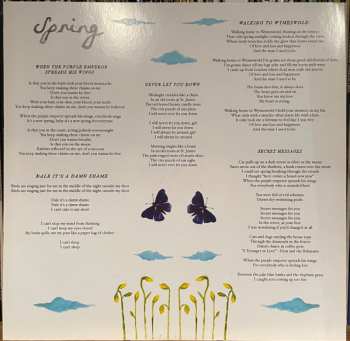 2LP The Wave Pictures: When The Purple Emperor Spreads His Wings LTD | CLR