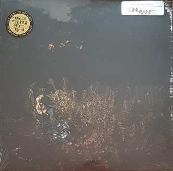 LP The Weather Station: Ignorance