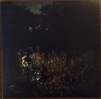 LP The Weather Station: Ignorance CLR | LTD