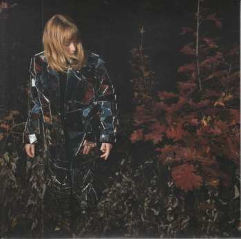 SP The Weather Station: Robber