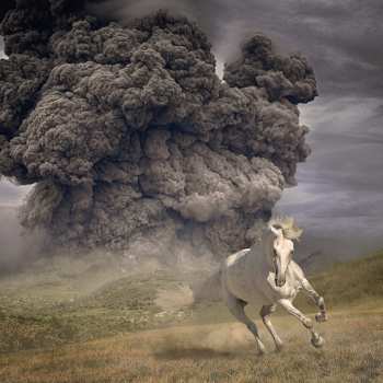 CD The White Buffalo: Year of the Dark Horse