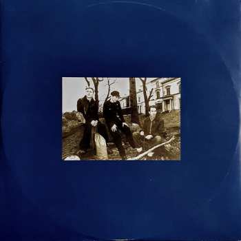 2LP The Wild Swans: Incandescent LTD