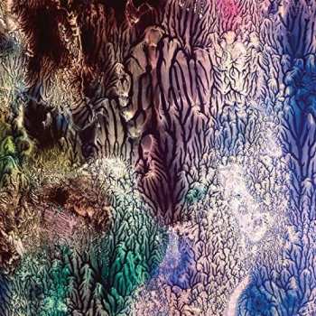 Album The Womb: The Womb