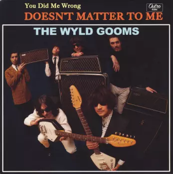 The Wyld Gooms: You Did Me Wrong / Doesn't Matter To Me
