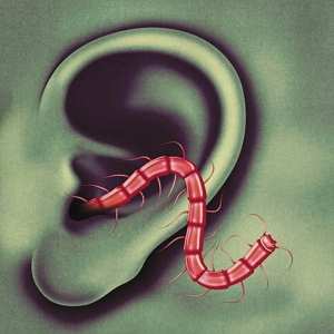 Album Thee Oh Sees: An Odd Entrances